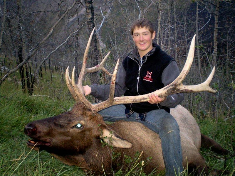 Our Elk Hunts | Sheep Hunting BC Outfitter