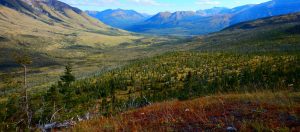 hunting british columbia