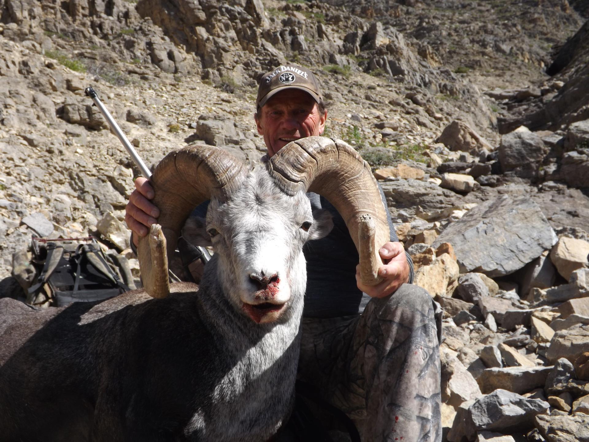 Sheep hunting in British Columbia