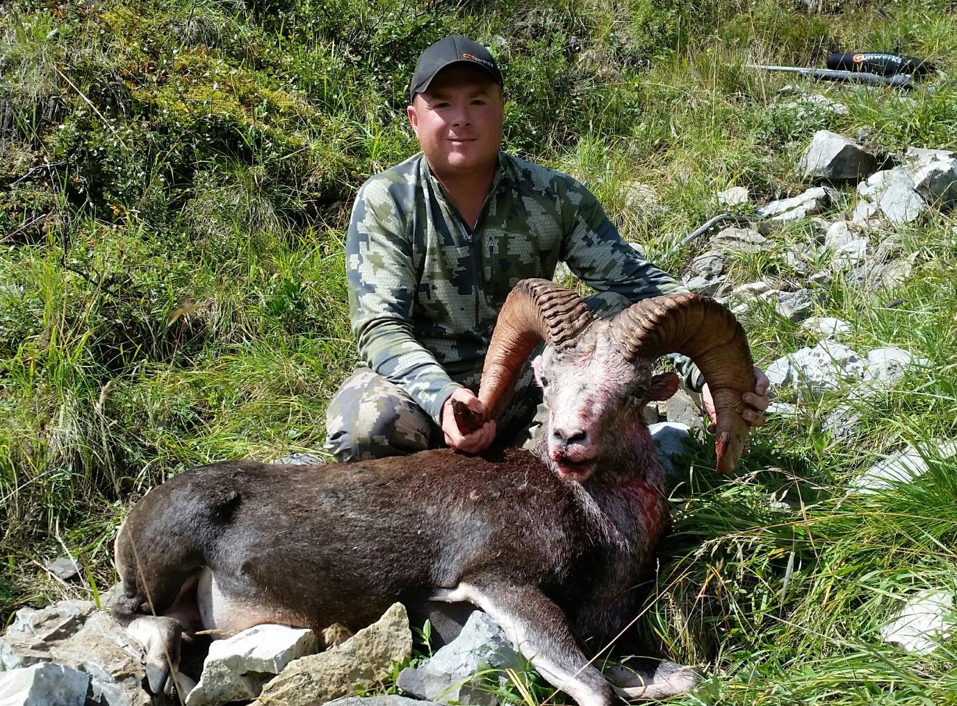 Sheep hunting season in BC