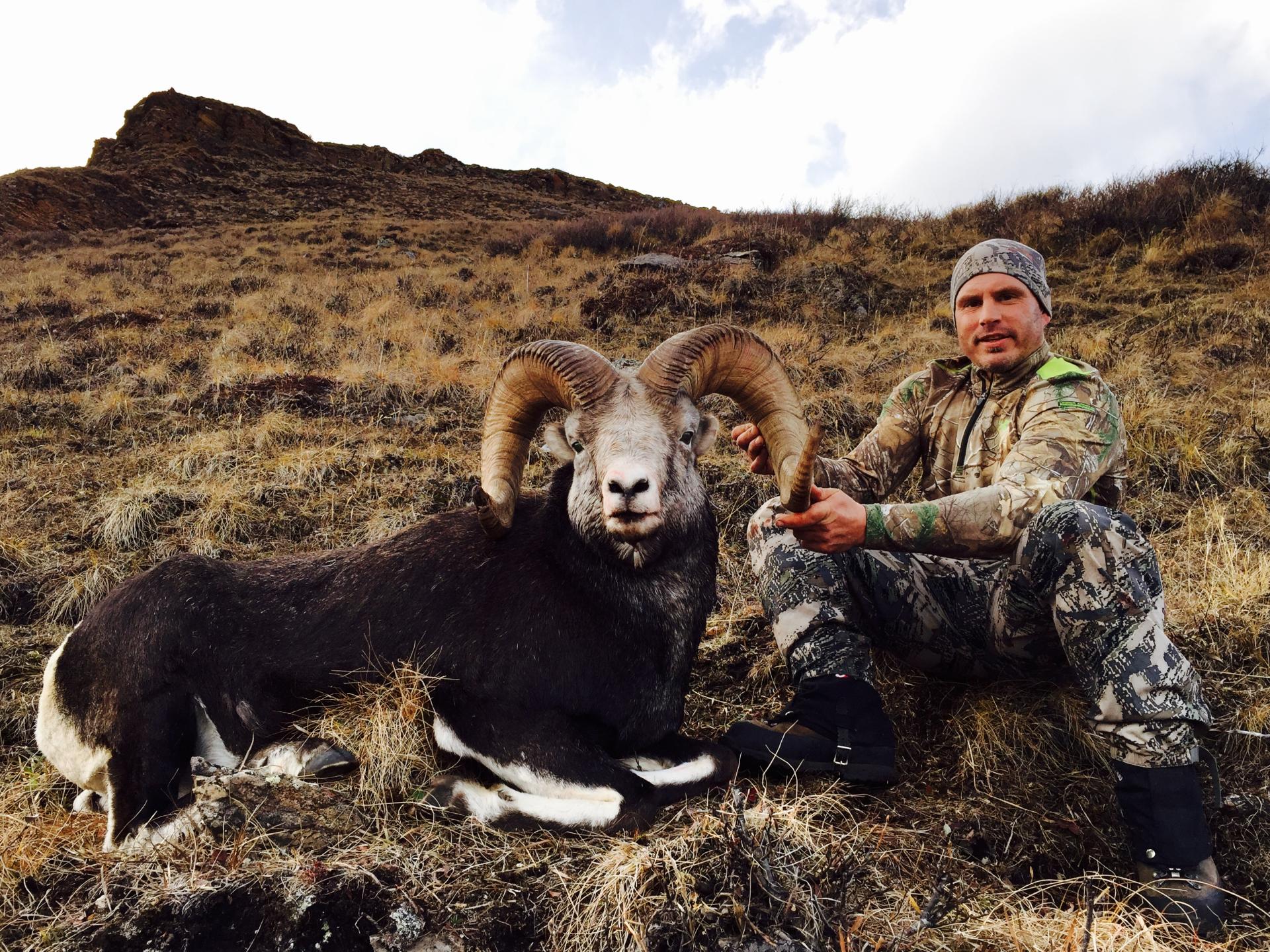 Stone Sheep Hunts | Sheep hunting BC outfitter