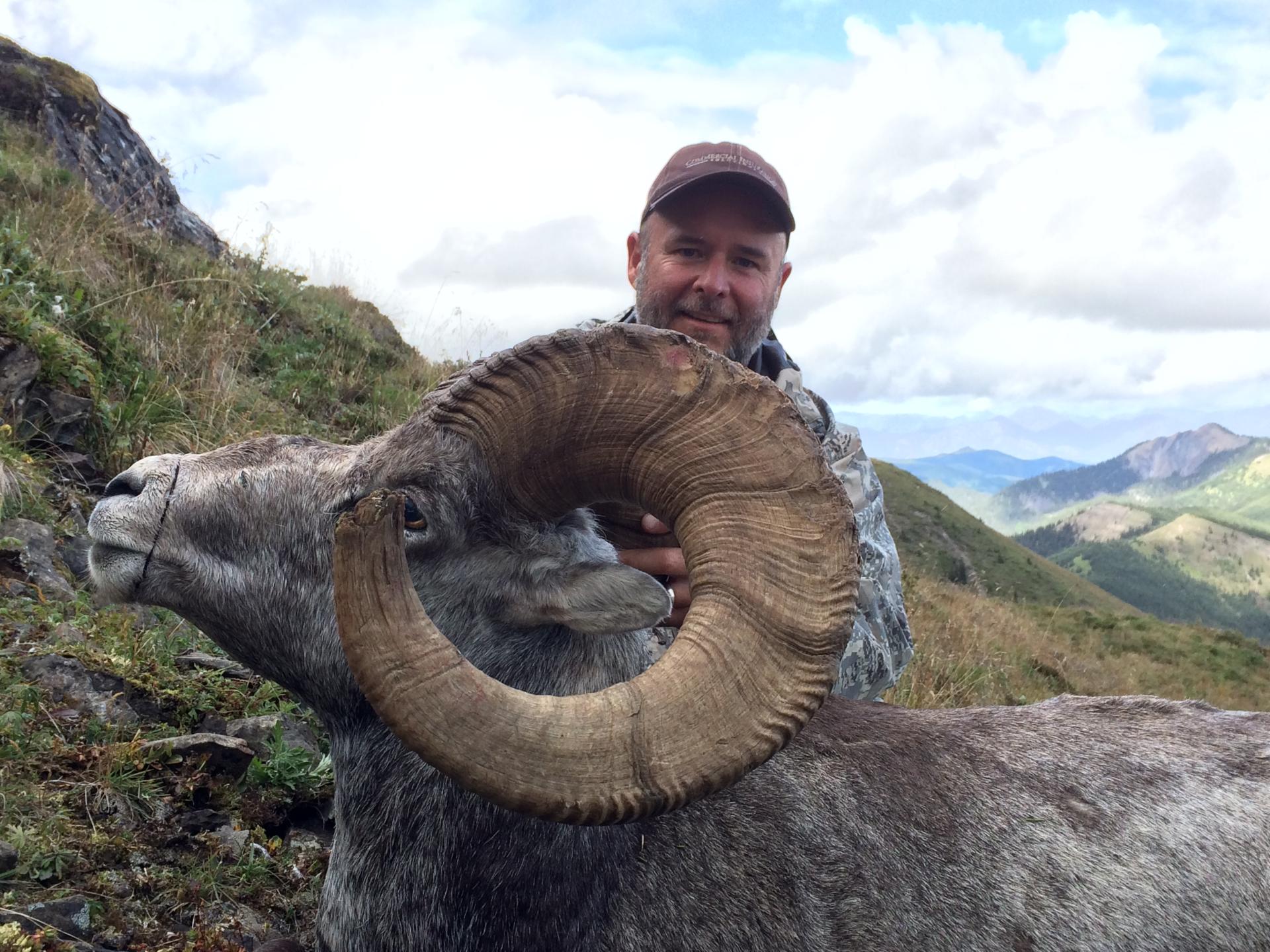 Stone Sheep Hunts | Sheep hunting BC outfitter